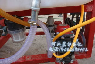 风送式无缝隙果树喷雾机 现代果园植保的高效解决方案