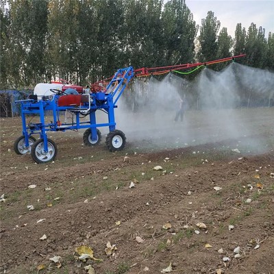 探索高效农业机械 从小麦玉米打药机到泉山胡萝卜专用设备的创新应用